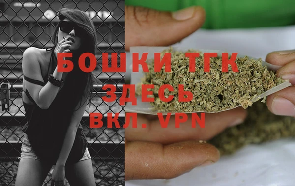 spice Аркадак